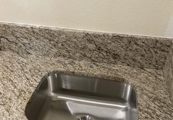 Elegant bathroom vanity countertop